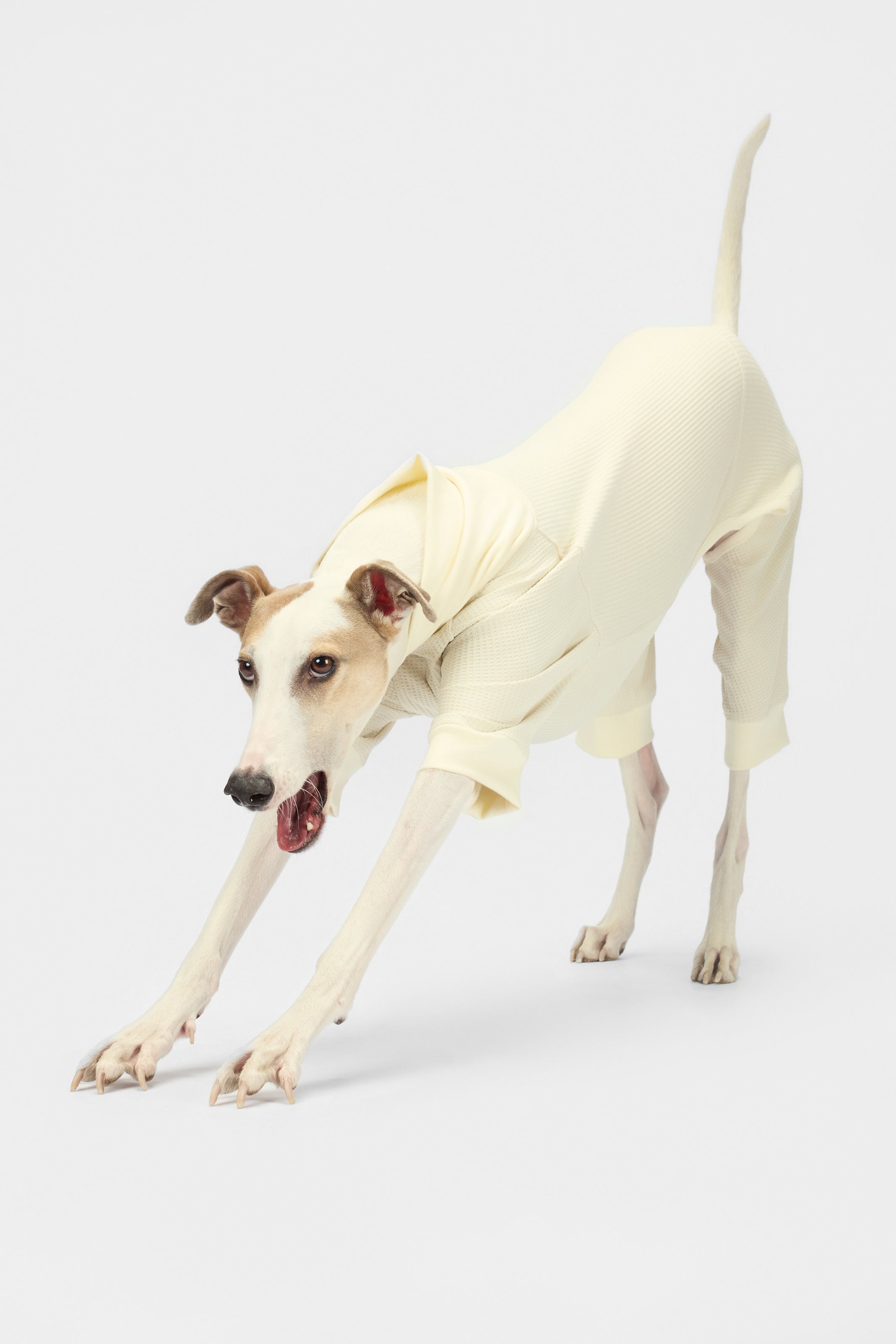 The Default - Bodysuit - thebarrrk