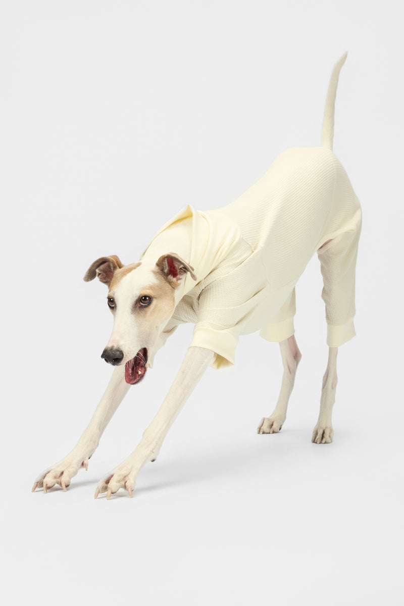 The Default - Bodysuit - thebarrrk