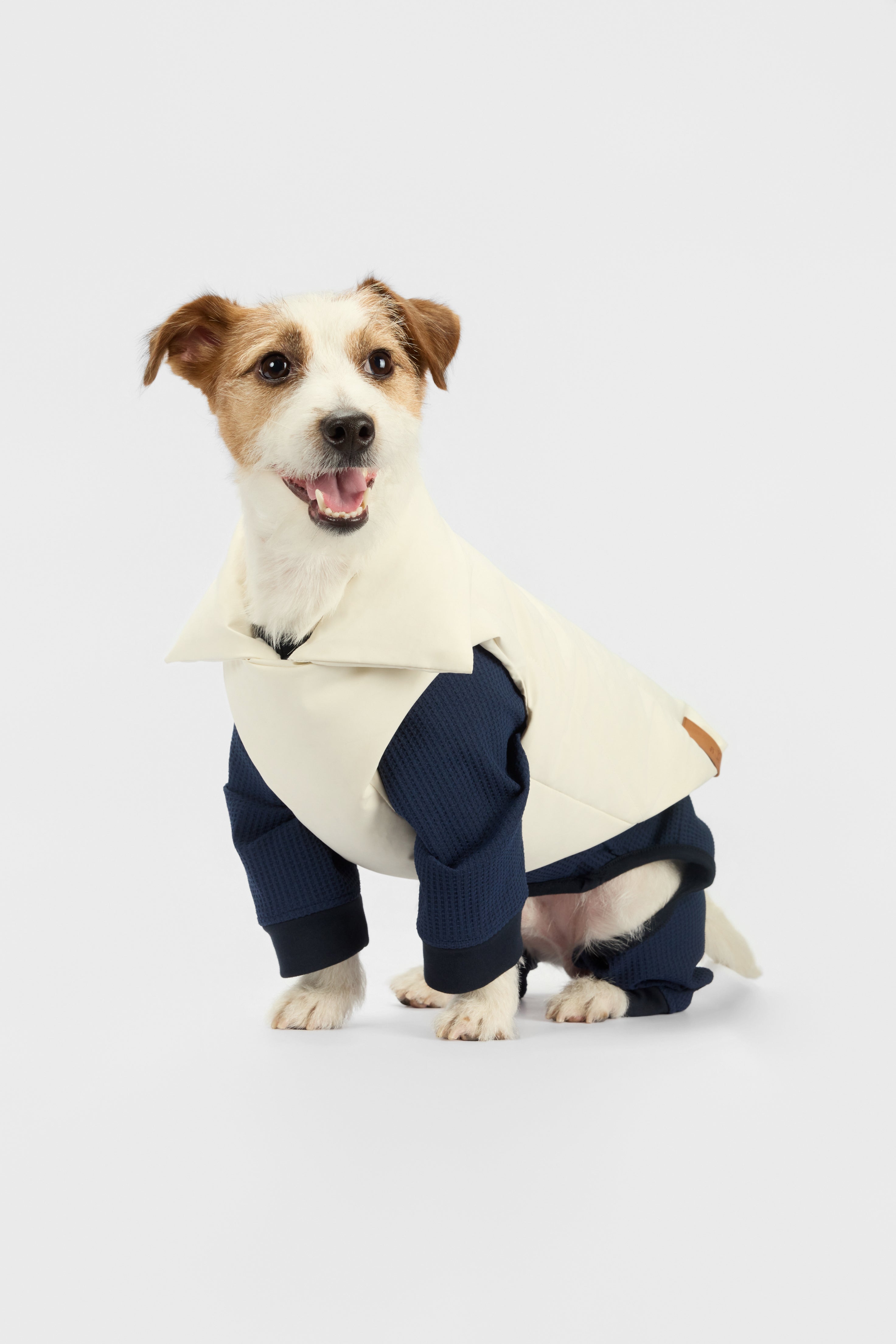 The Set - Puffy Jacket & Bodysuit - thebarrrk