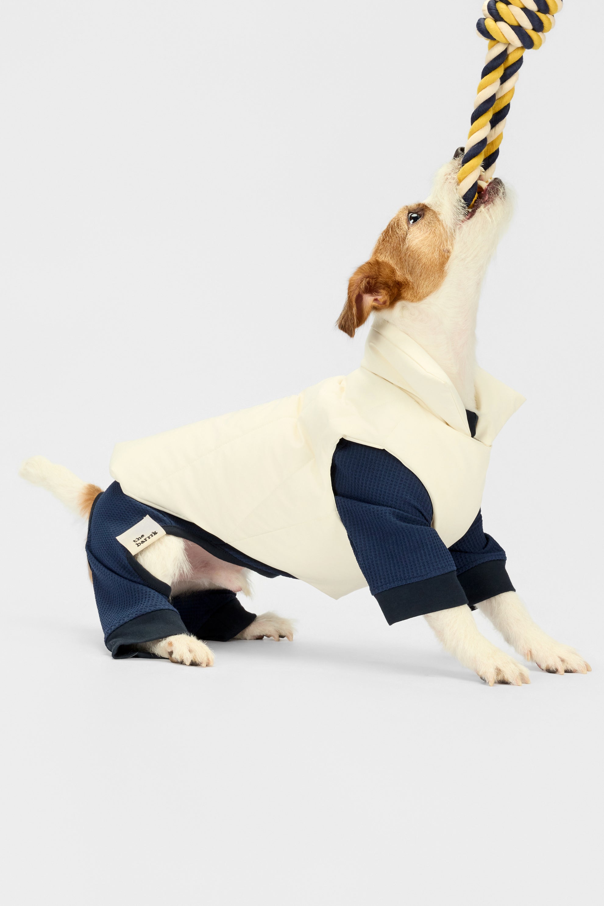 洋楽 Rup Dog Ranch Roperz Plush Dog Tug Toy