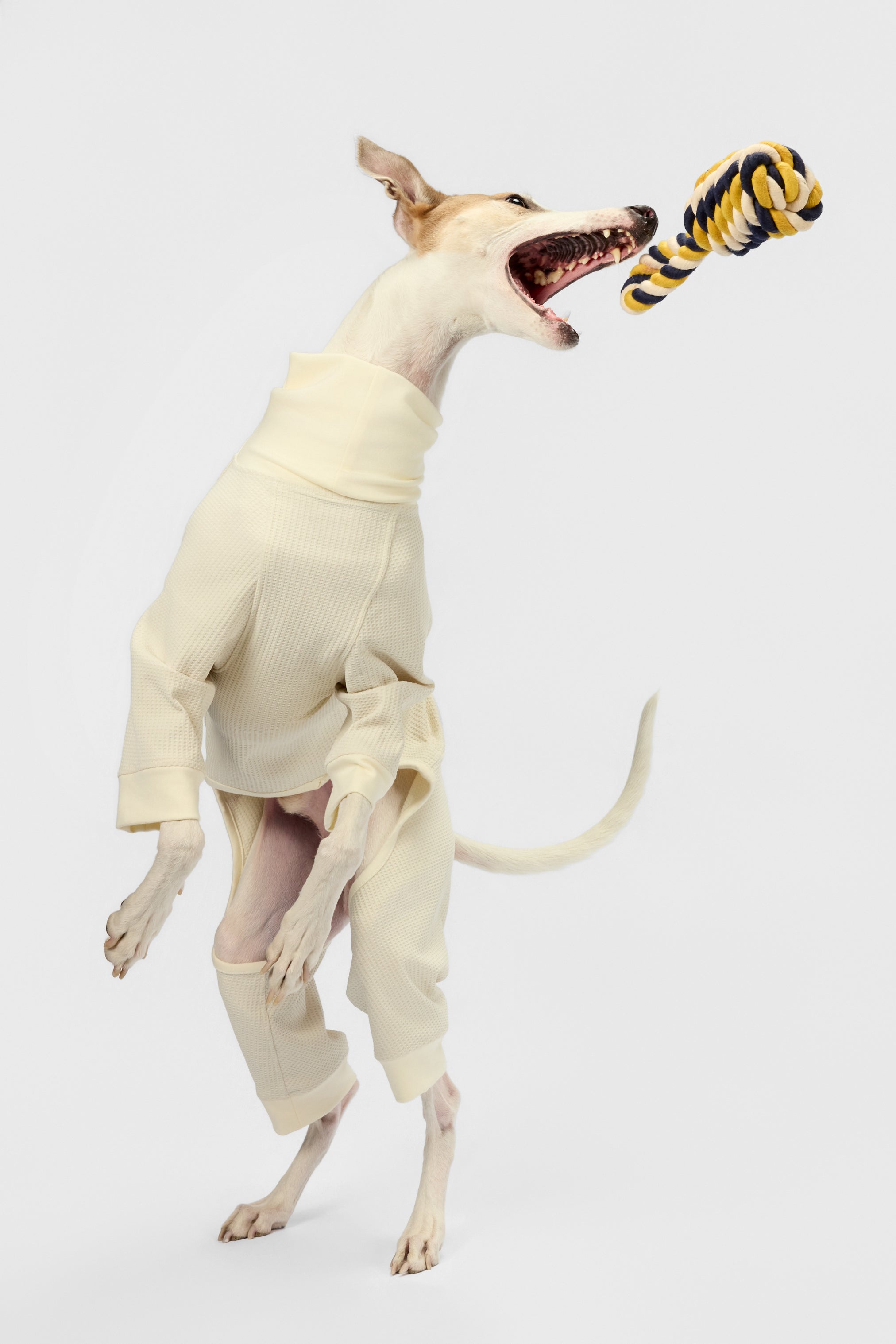 The knot - Dog Rope Toy - thebarrrk