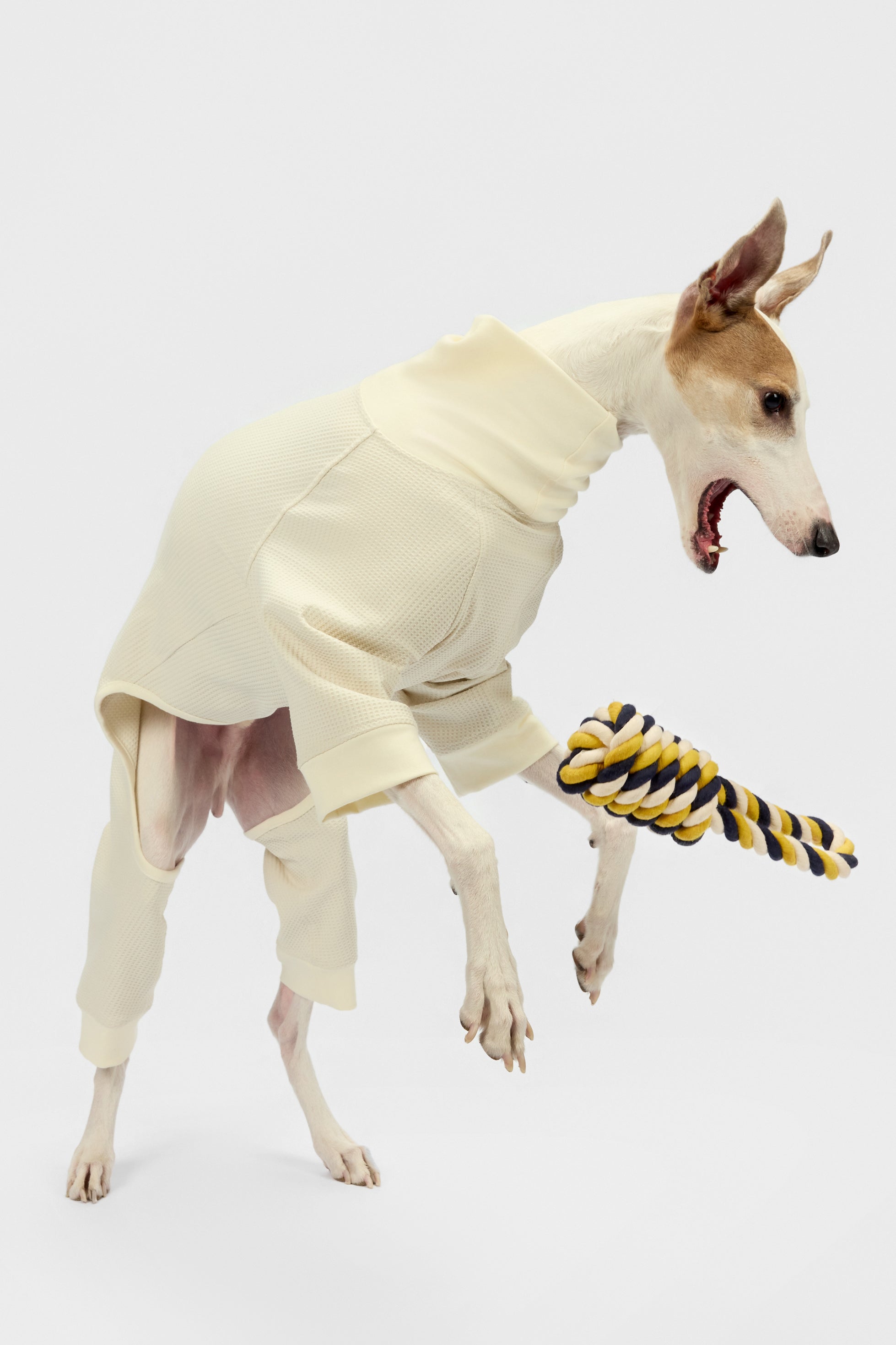 The knot - Dog Rope Toy - thebarrrk