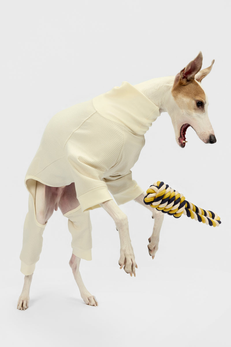 The knot - Dog Rope Toy - thebarrrk