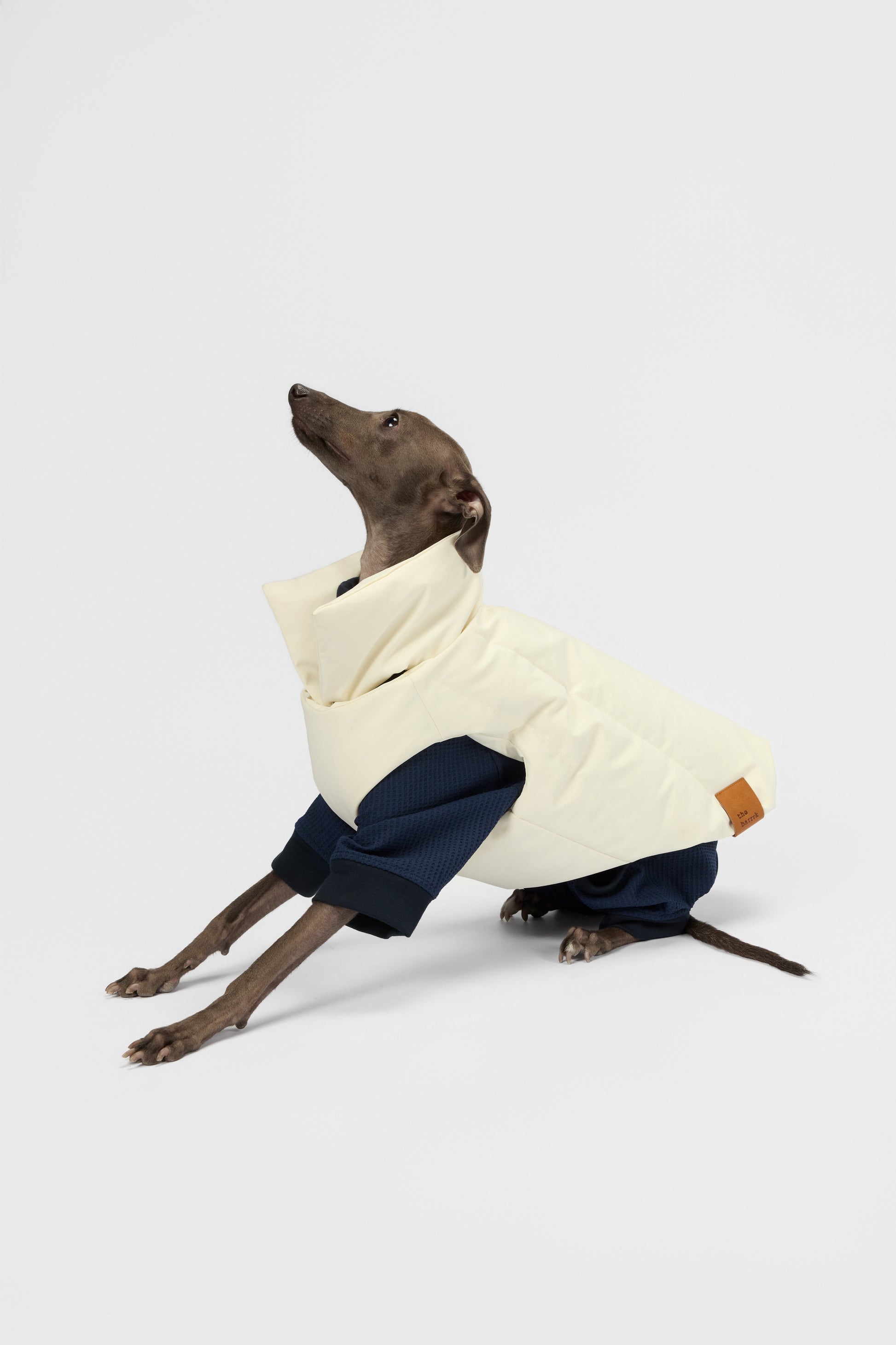 The Default - Bodysuit - thebarrrk