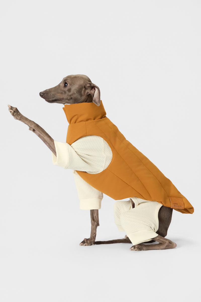 The Default - Bodysuit - thebarrrk