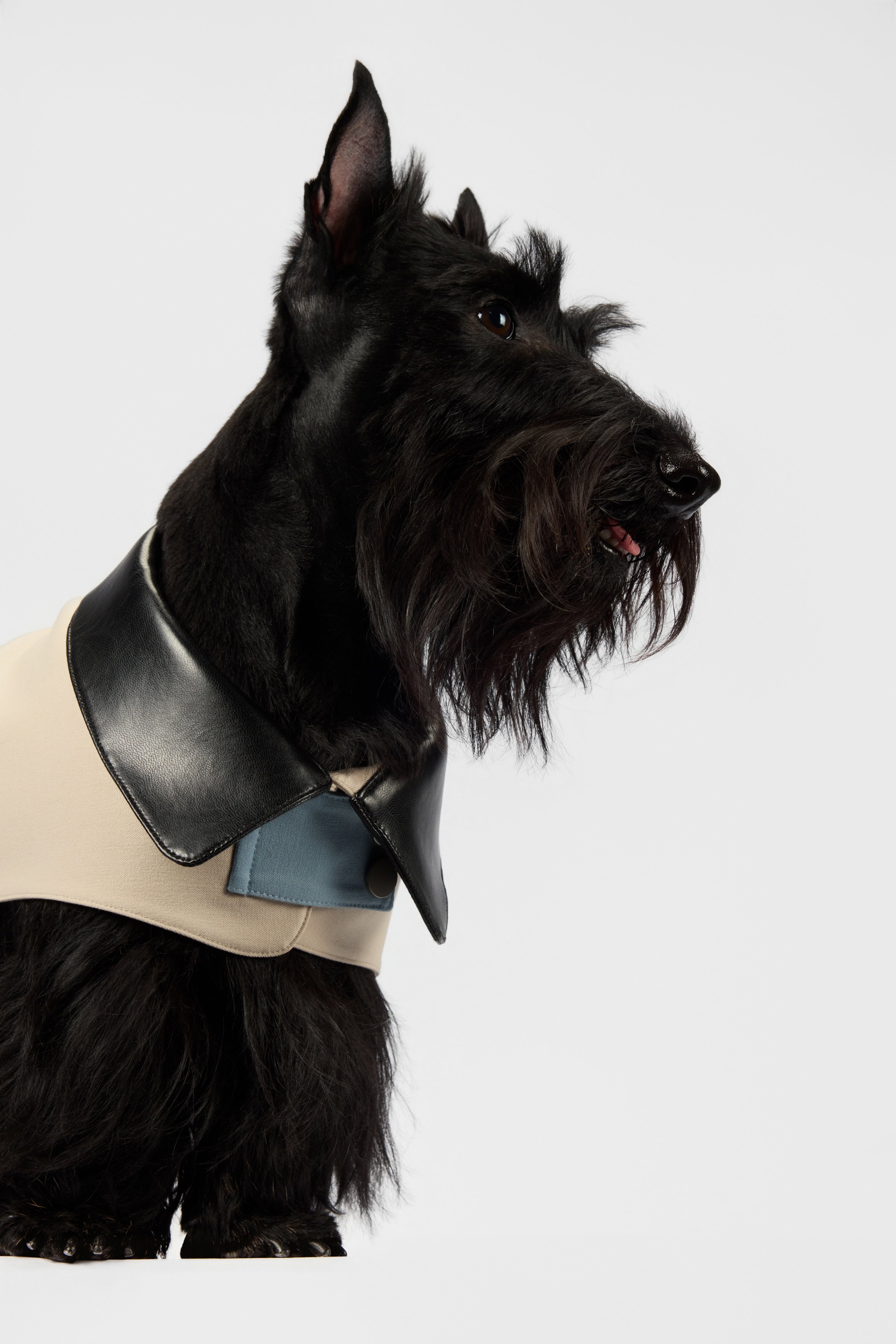 The Errand — Leather Collar Jacket - thebarrrk