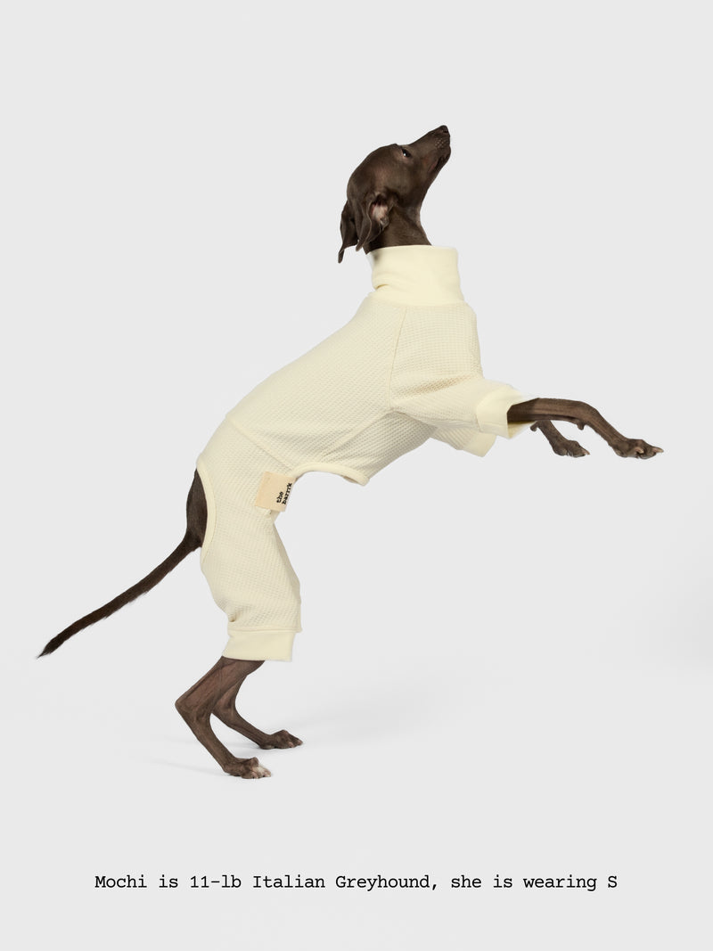 The Default - Bodysuit - thebarrrk