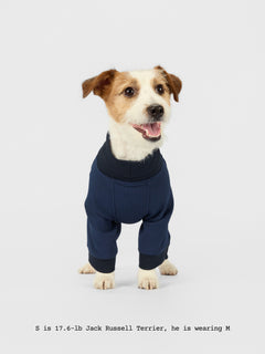 The Default - Bodysuit - thebarrrk