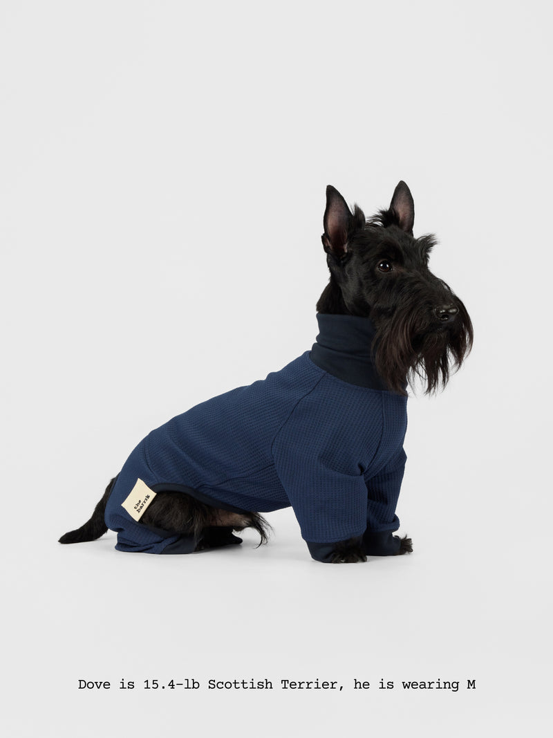 The Default - Bodysuit - thebarrrk