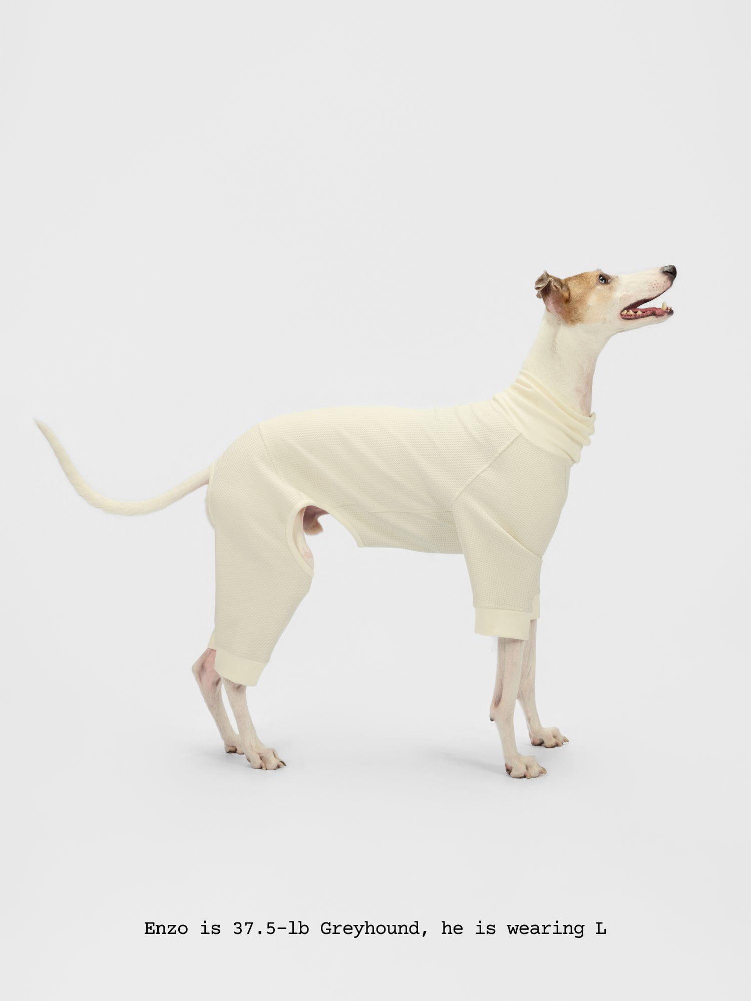 The Default - Bodysuit - thebarrrk