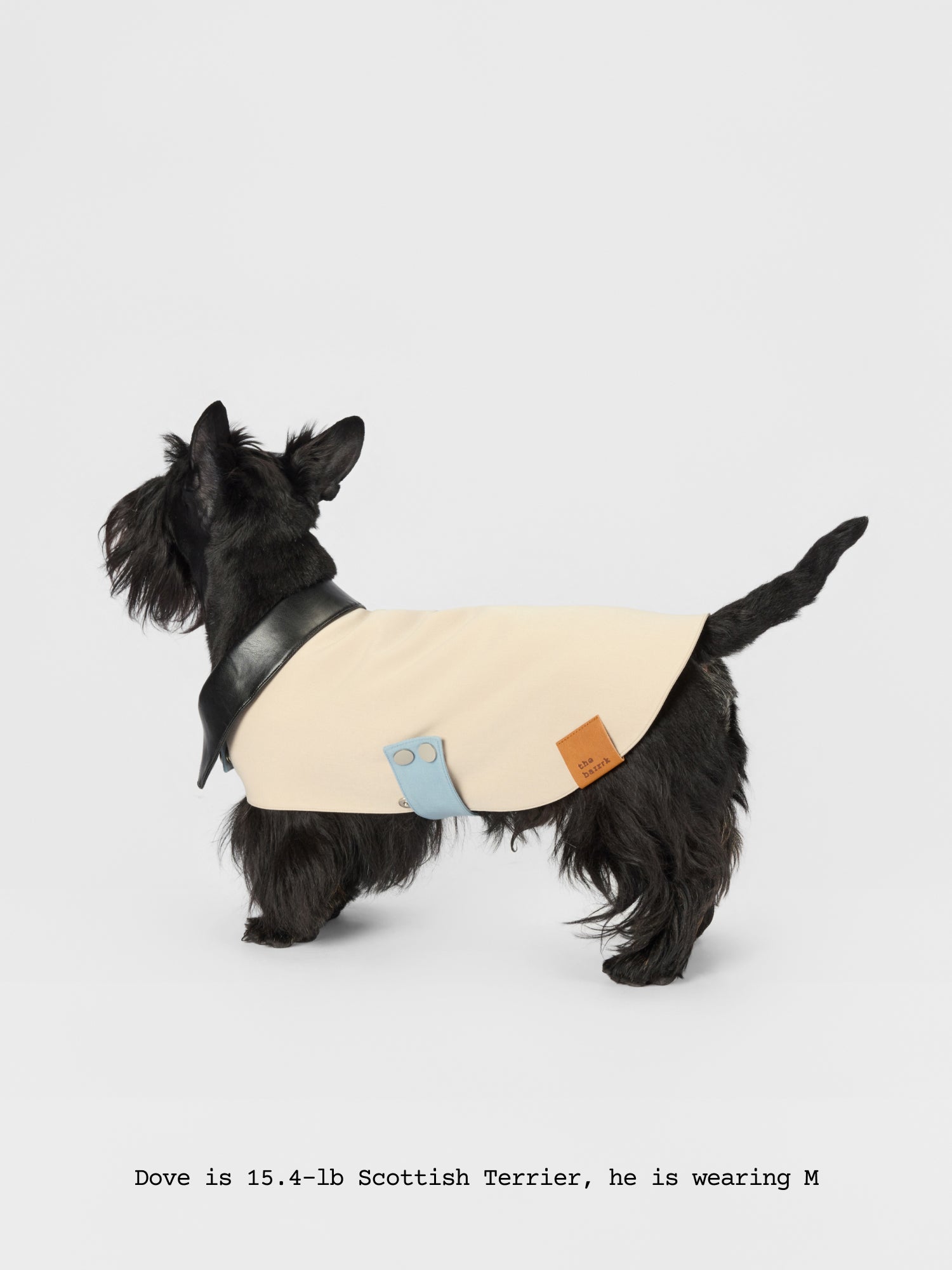 The Errand — Leather Collar Jacket - thebarrrk