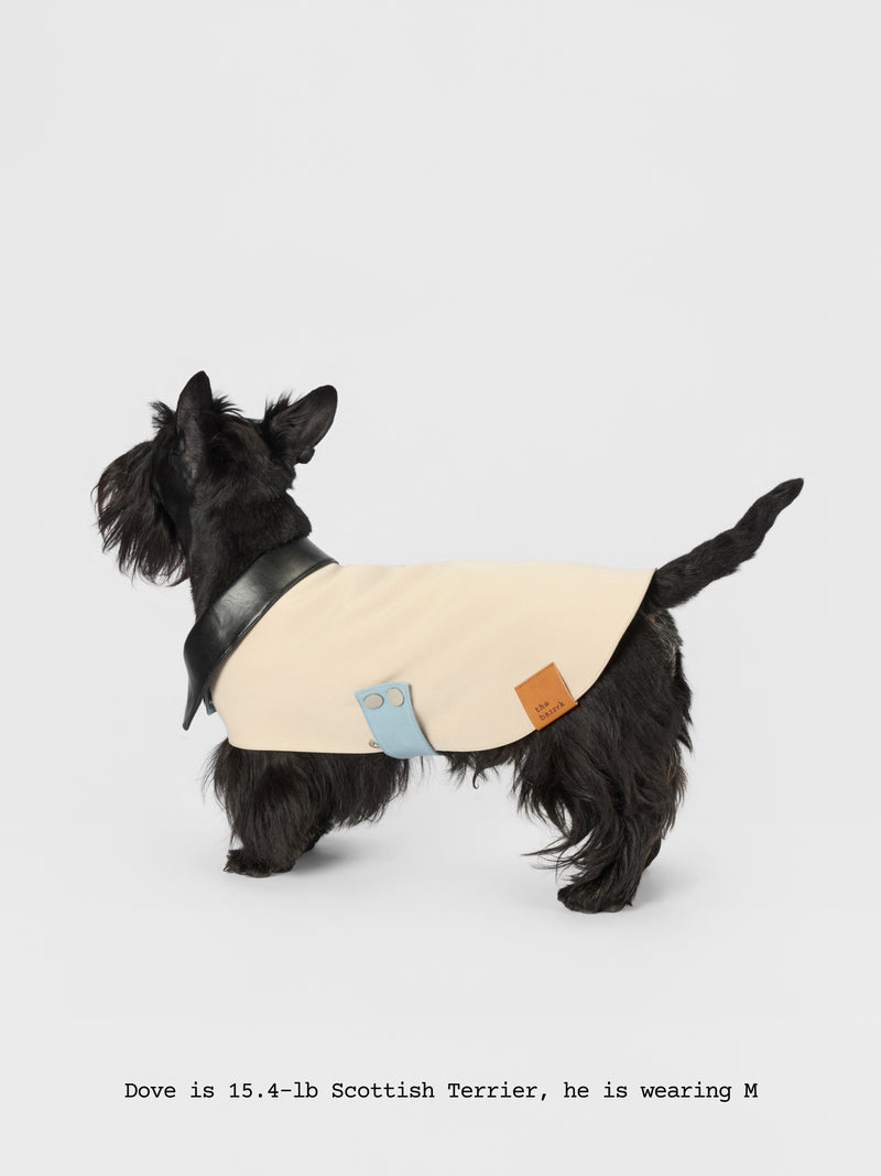 The Errand — Leather Collar Jacket - thebarrrk