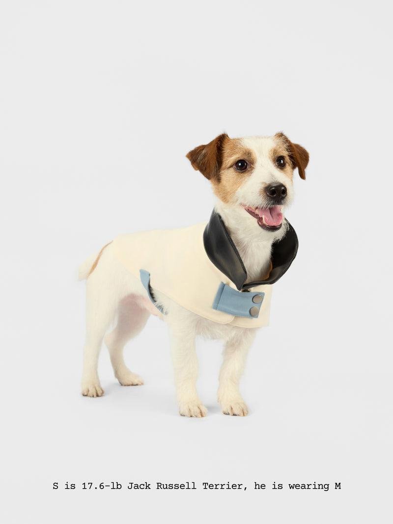 The Errand — Leather Collar Jacket - thebarrrk