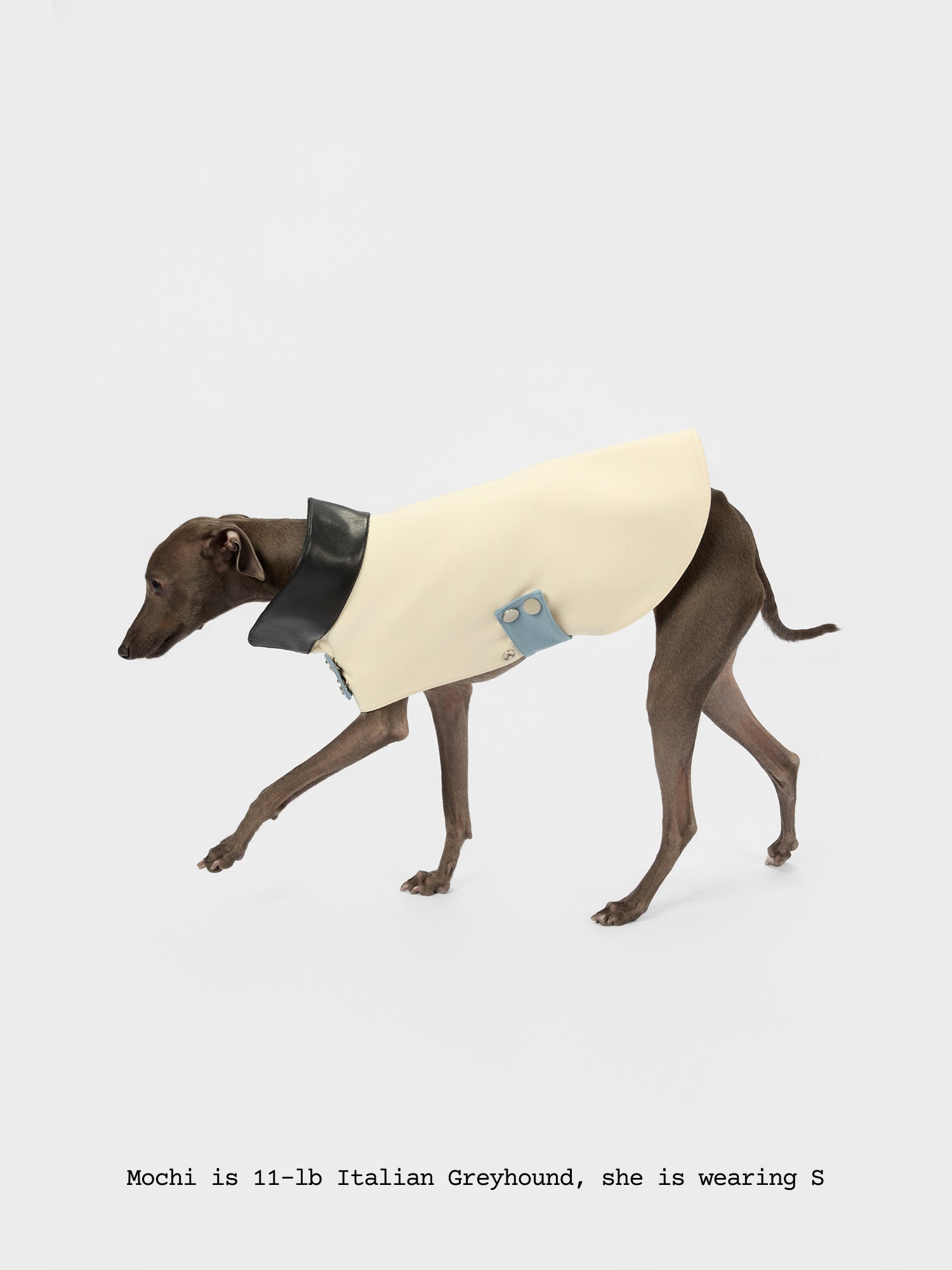 The Errand — Leather Collar Jacket - thebarrrk