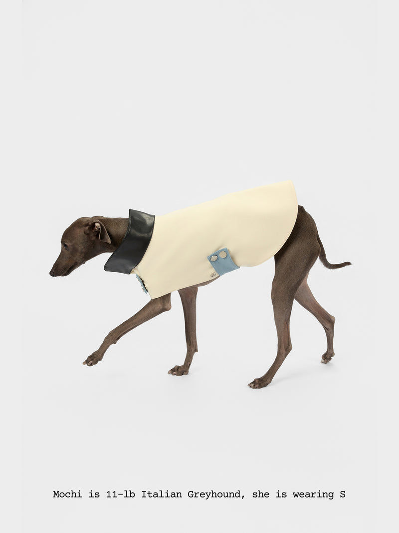 The Errand — Leather Collar Jacket - thebarrrk