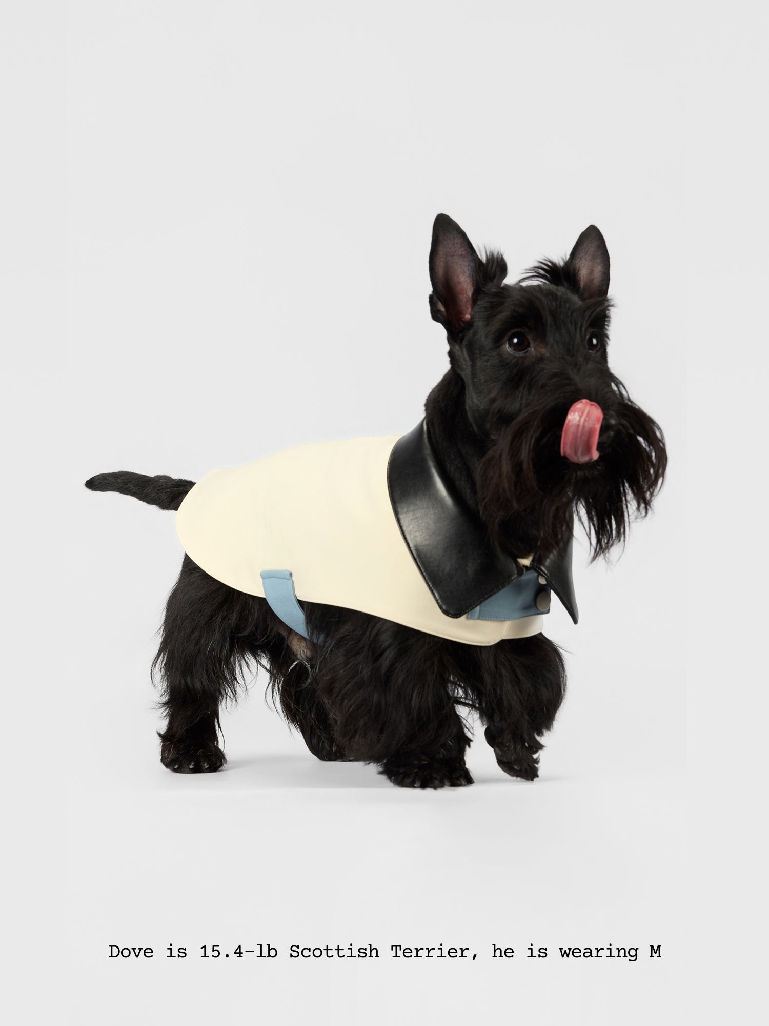The Errand — Leather Collar Jacket - thebarrrk