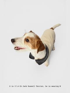 The Errand — Leather Collar Jacket - thebarrrk