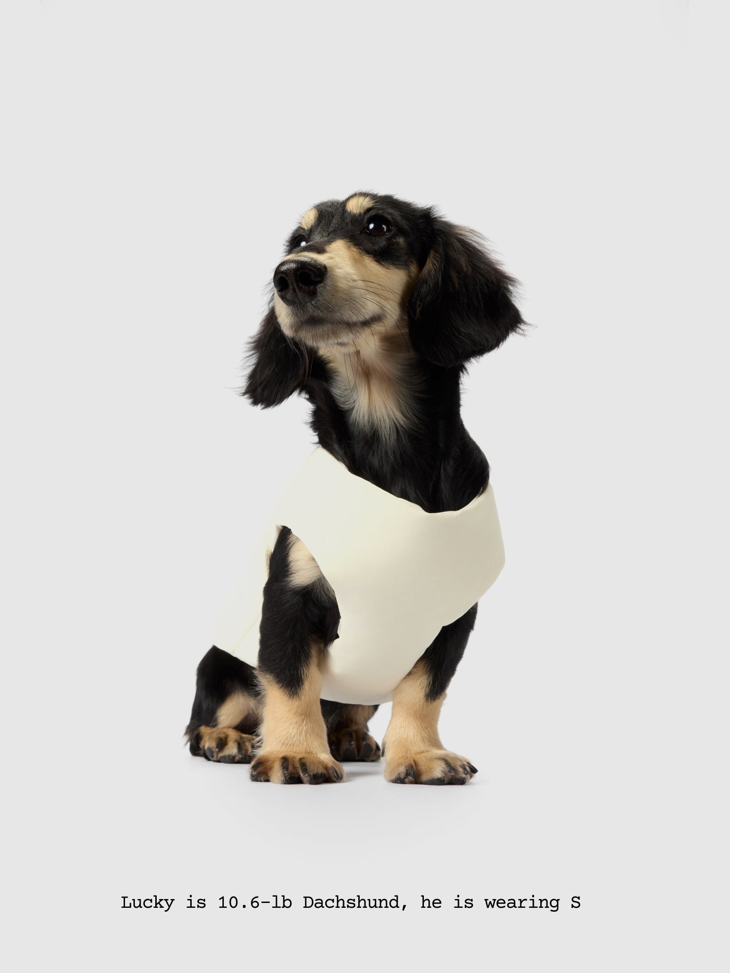 The Coldest Day - Puffy Jacket - thebarrrk