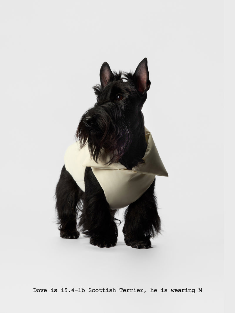 The Coldest Day - Puffy Jacket - thebarrrk