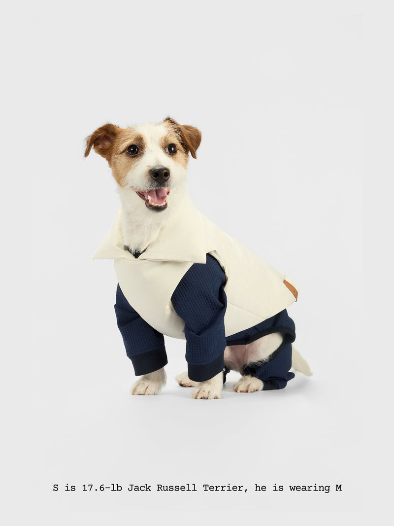 The Coldest Day - Puffy Jacket - thebarrrk