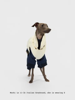 The Coldest Day - Puffy Jacket - thebarrrk