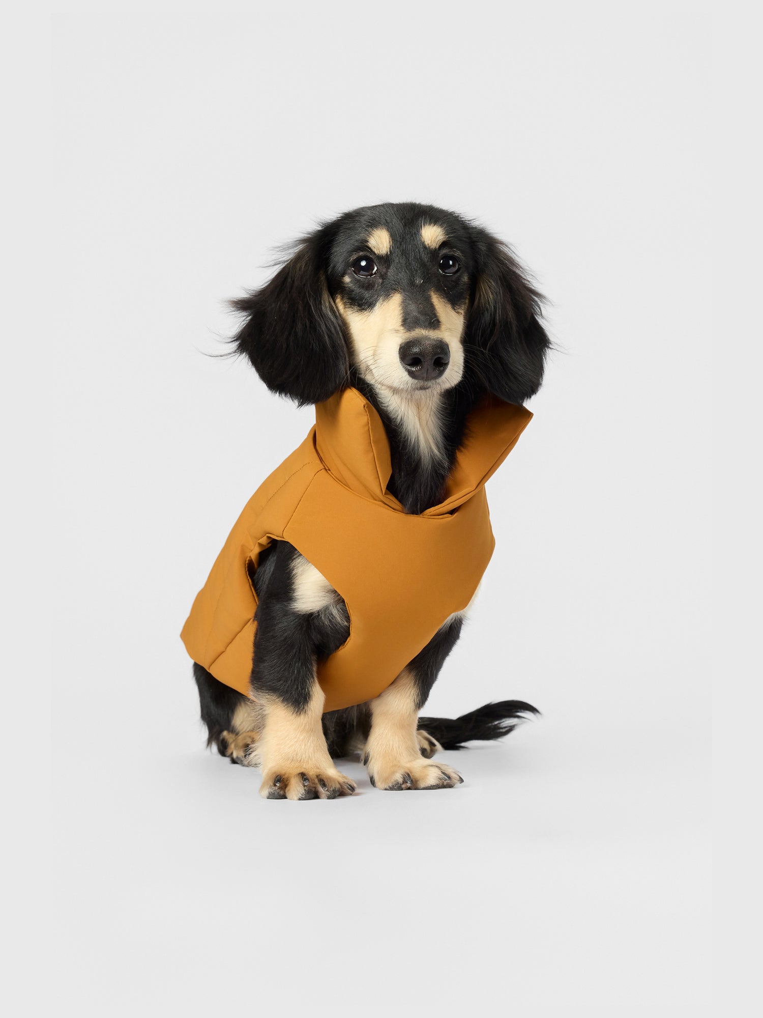 The Coldest Day - Puffy Jacket - thebarrrk