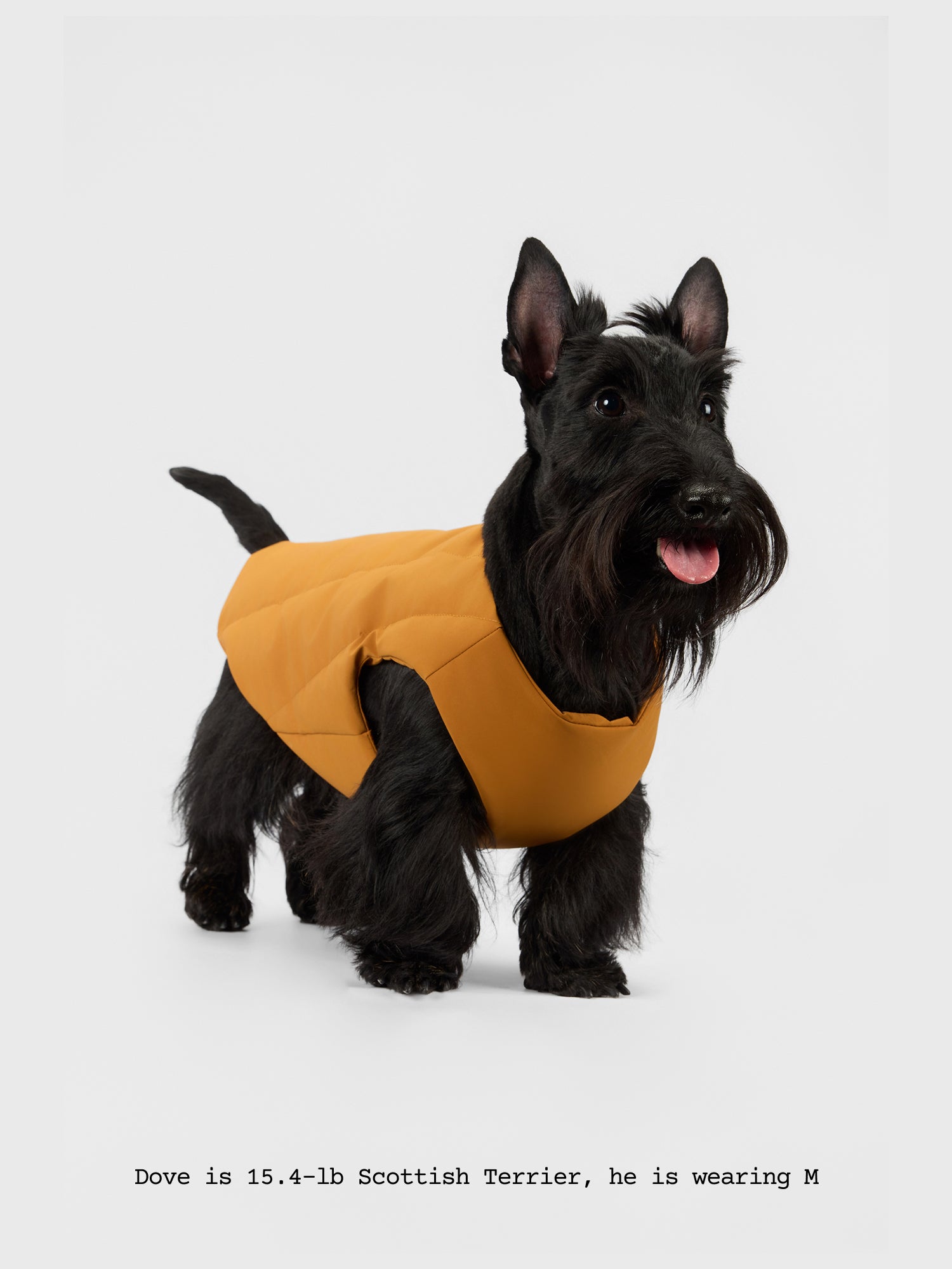 The Coldest Day - Puffy Jacket - thebarrrk