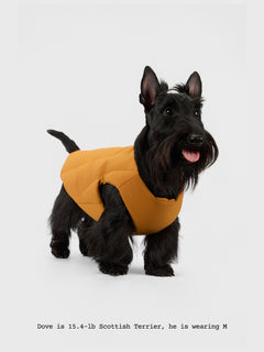 The Coldest Day - Puffy Jacket - thebarrrk