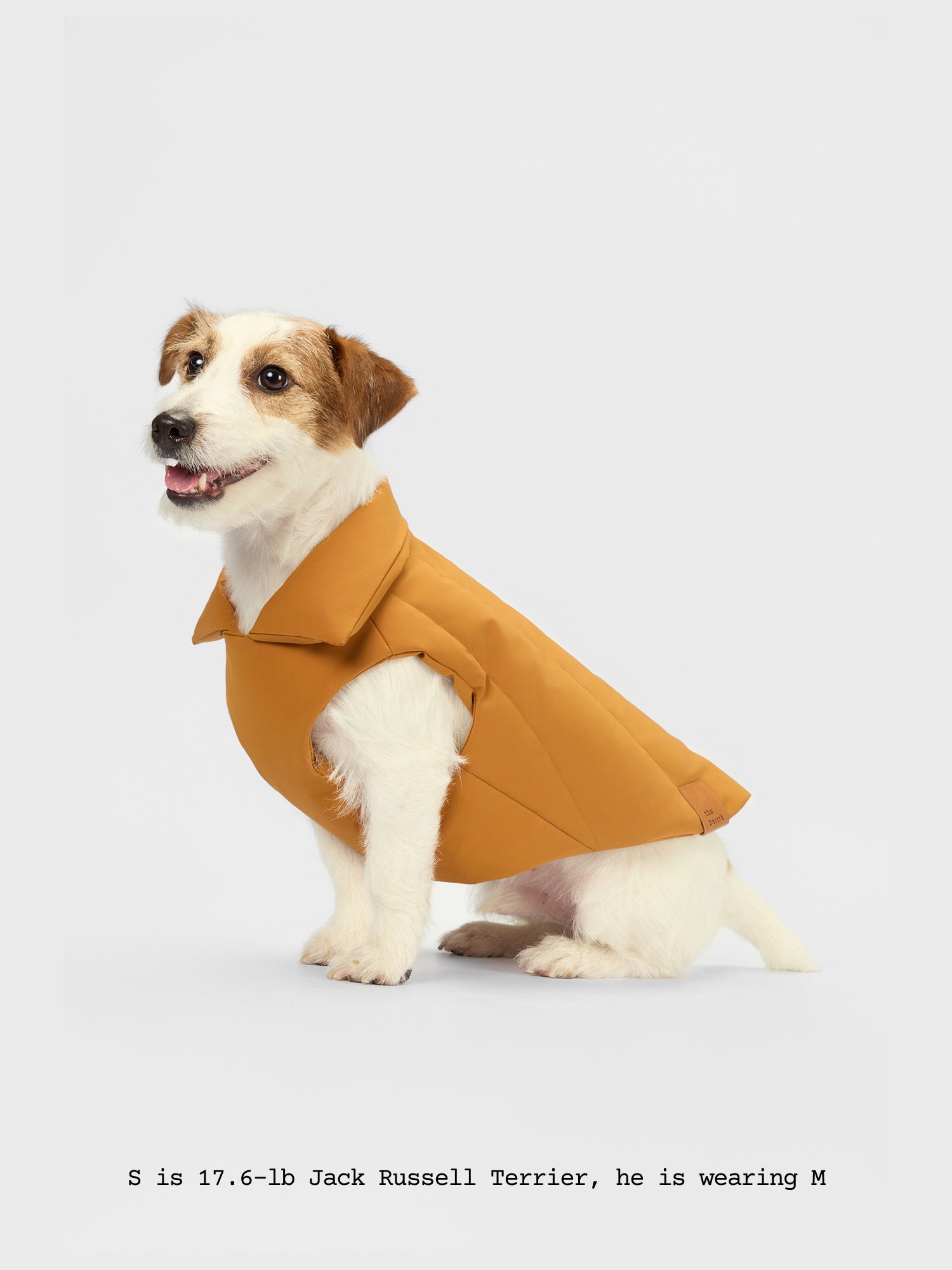 The Coldest Day - Puffy Jacket - thebarrrk