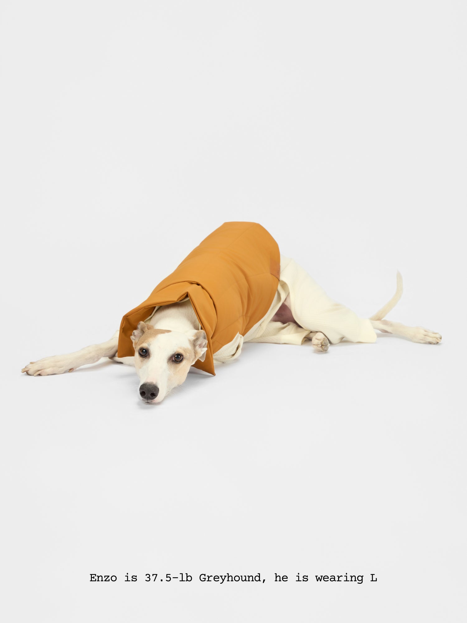 The Coldest Day - Puffy Jacket - thebarrrk