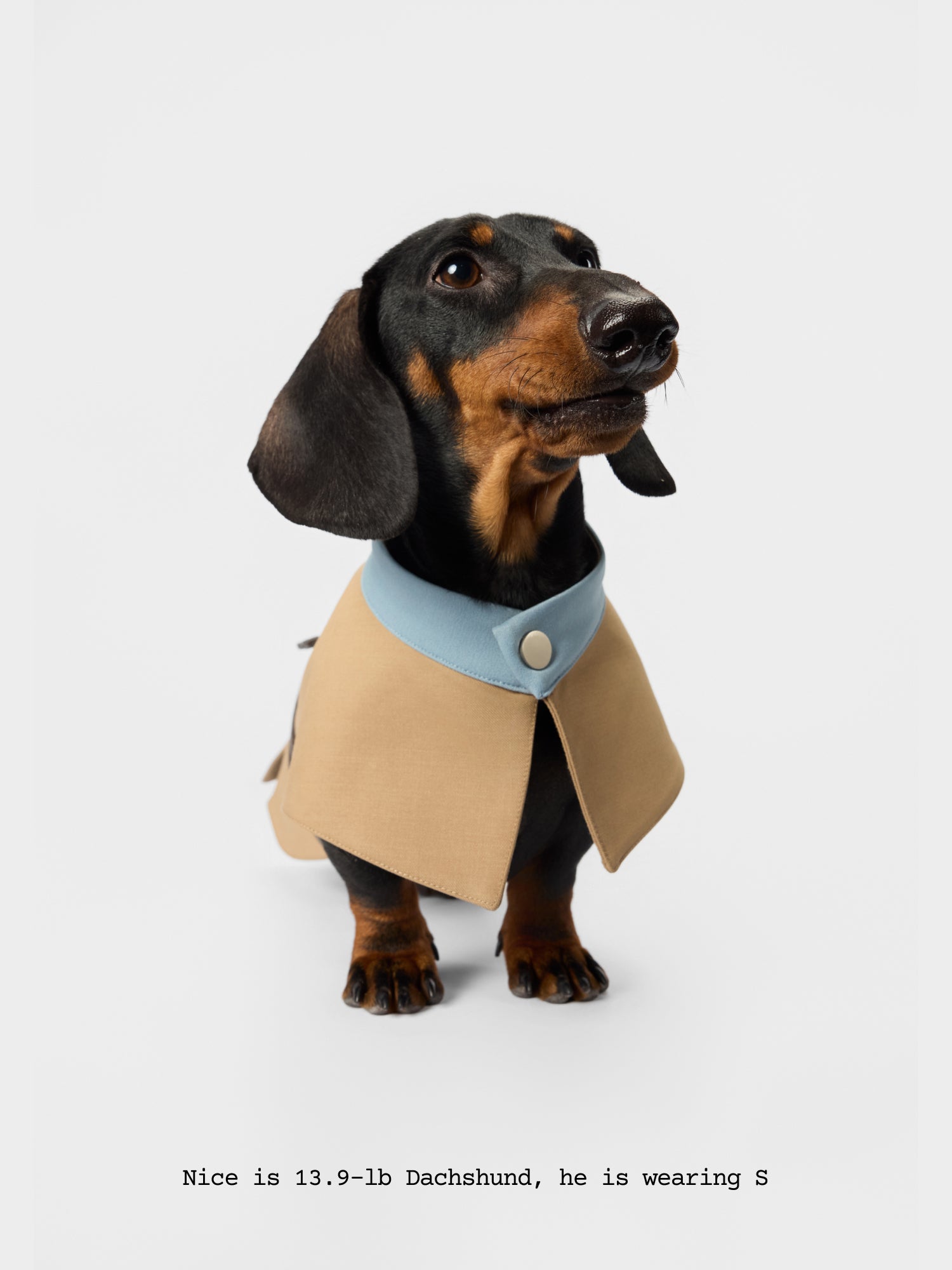 London Drizzle - Water-repellent Trench Coat - thebarrrk